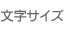 文字の大きさ
