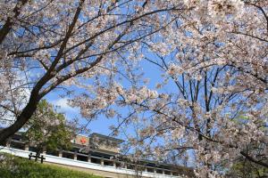 4月写真