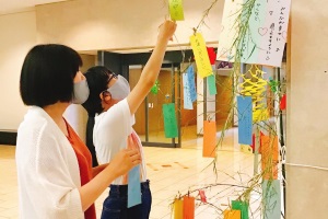 7月写真